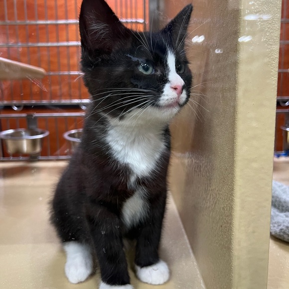 Meet your Posher, Kim - Picture 10 of 10